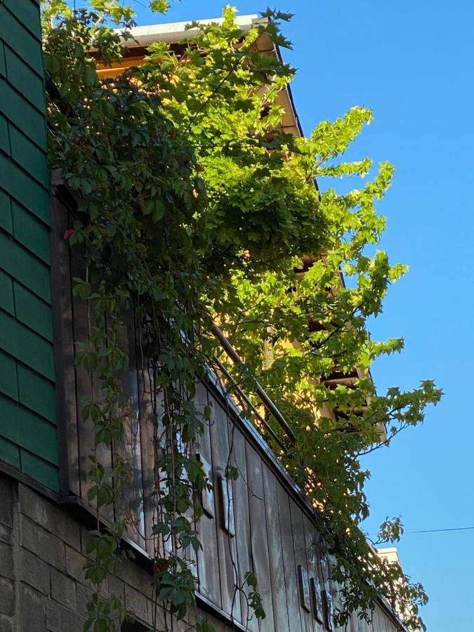 Hotel Zillners Einkehr *** Altheim Екстер'єр фото